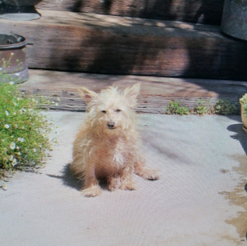 Meet your Posher, Jacki